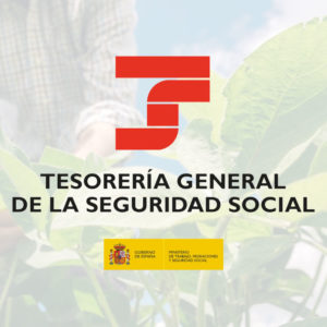 Trámites INEM para trabajadores